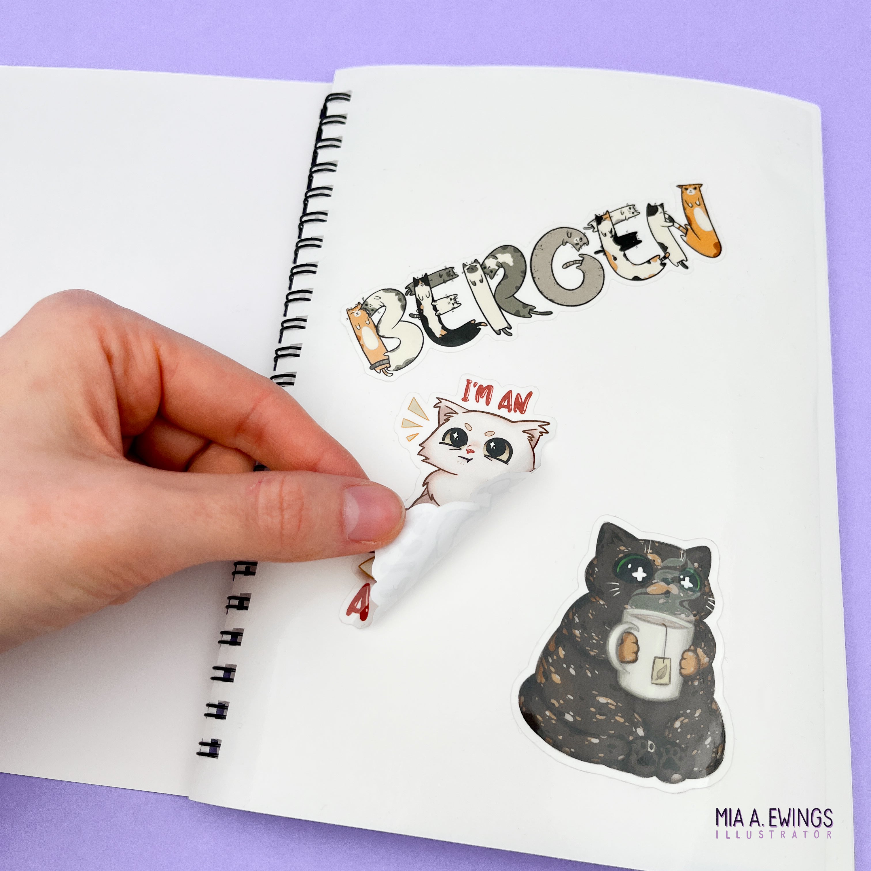 Pink Sticker Hoarder Club sticker book