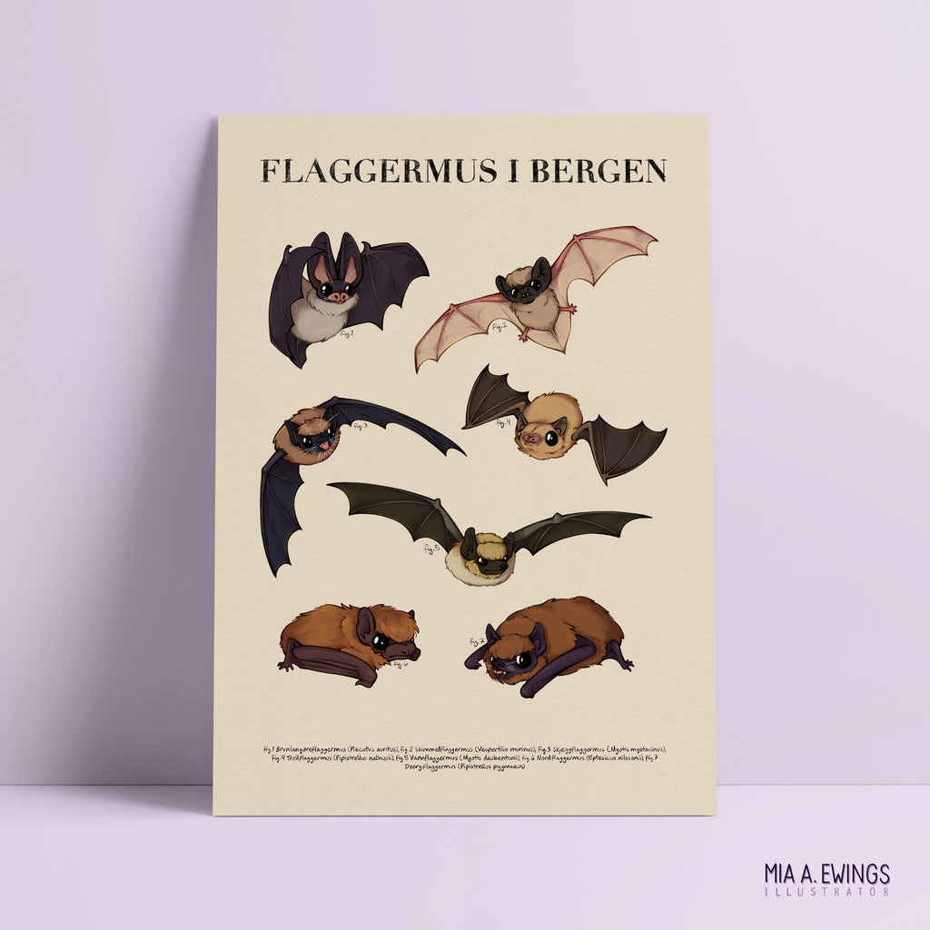 Bats in Bergen — print