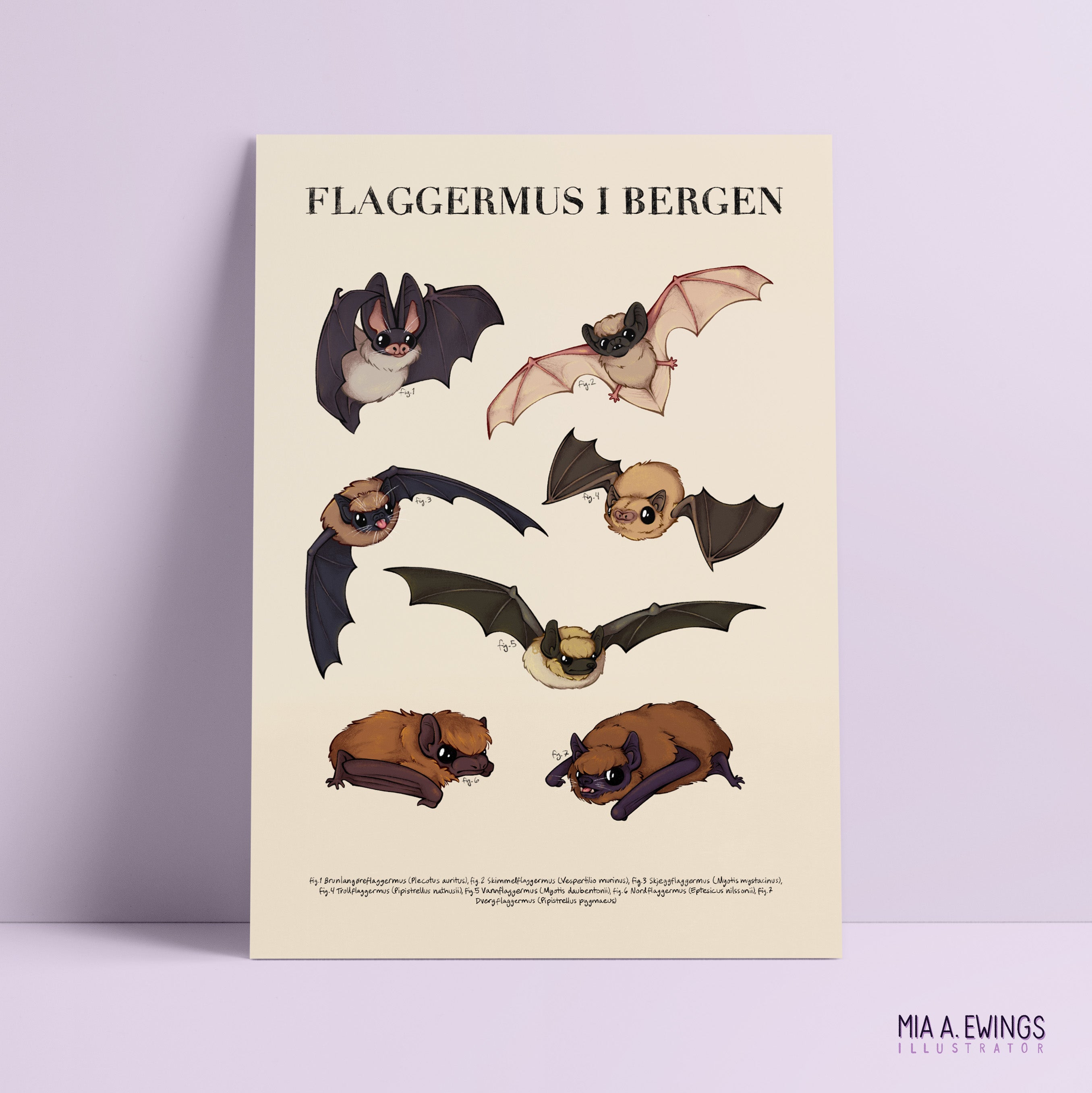 Bats in Bergen — print