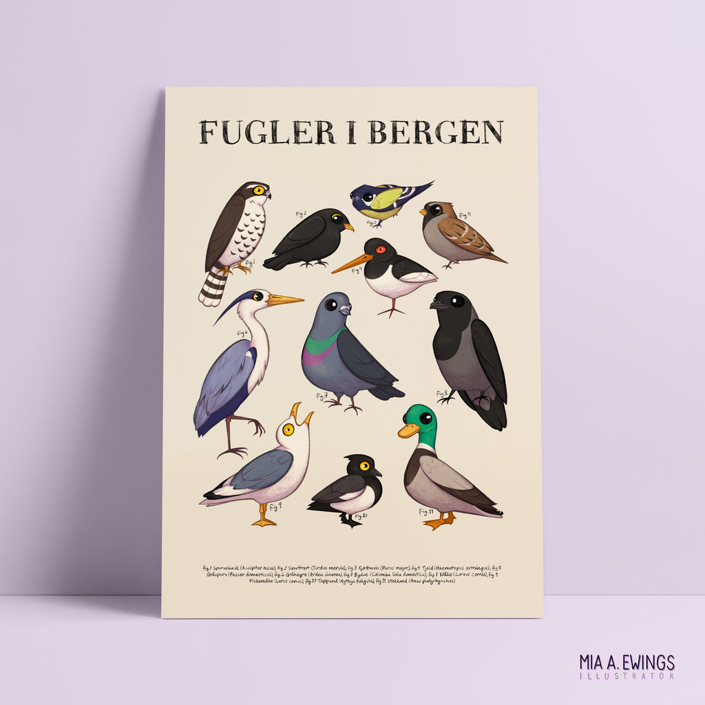 Fugler i Bergen — trykk