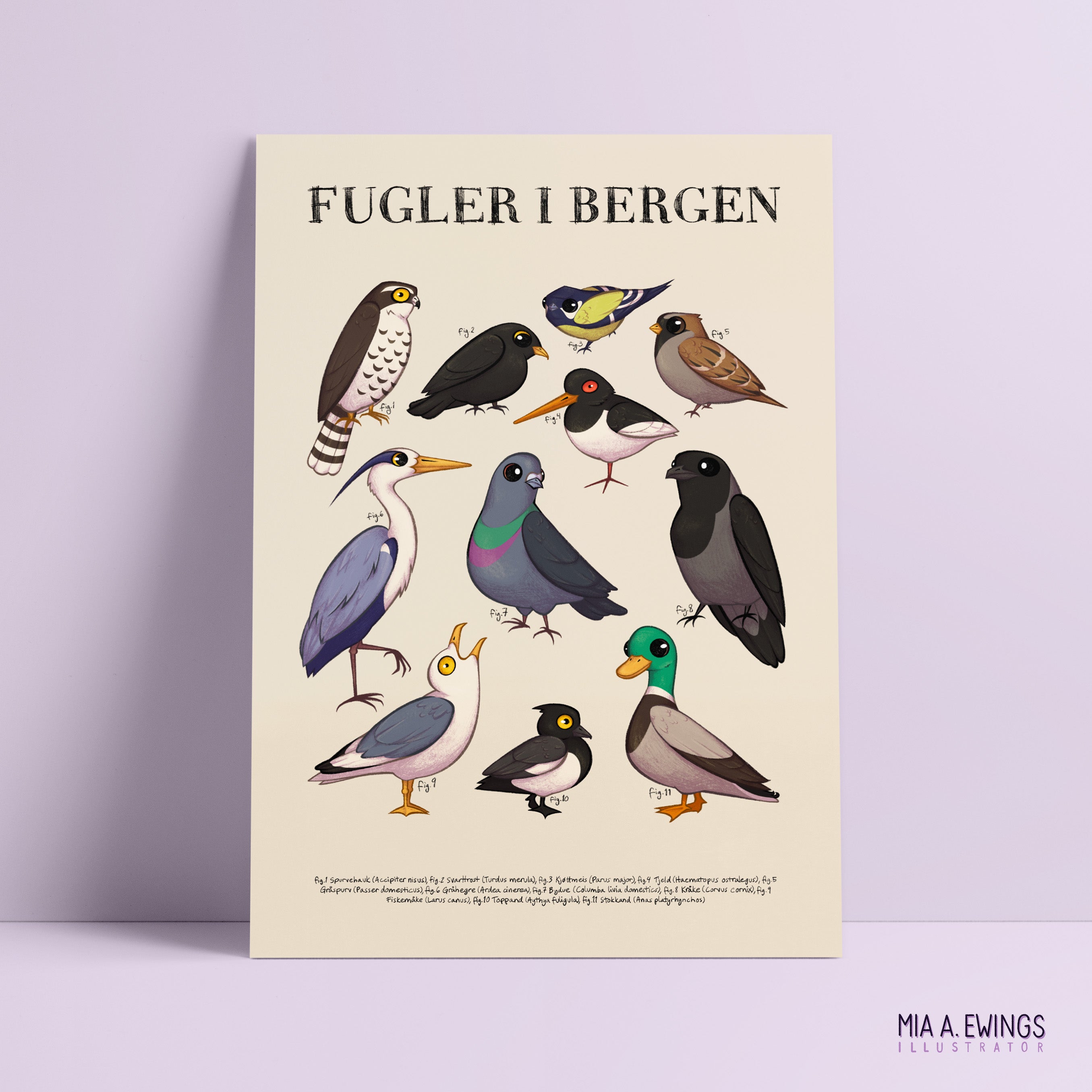 Birds in Bergen — print