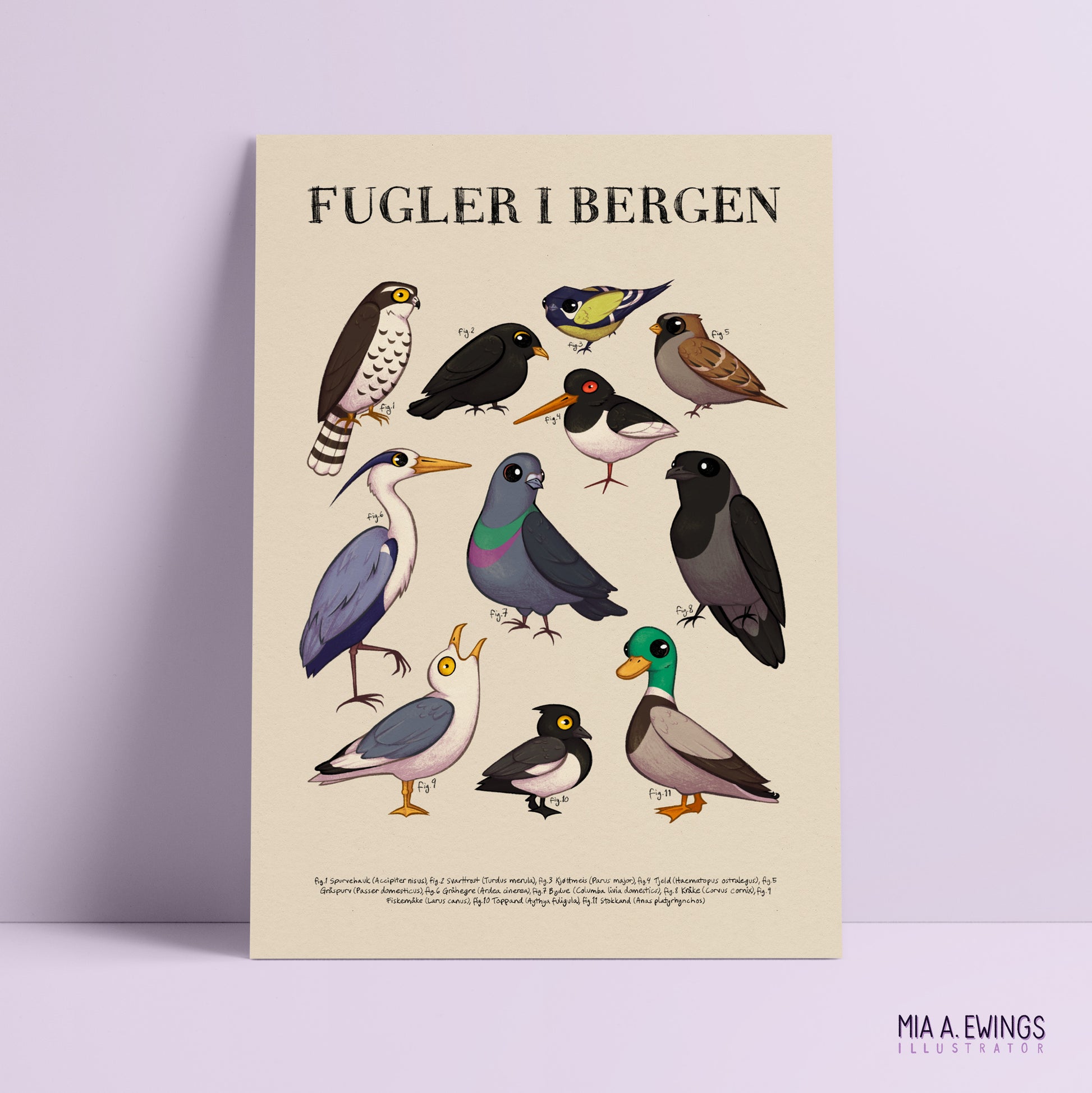 Birds in Bergen — print