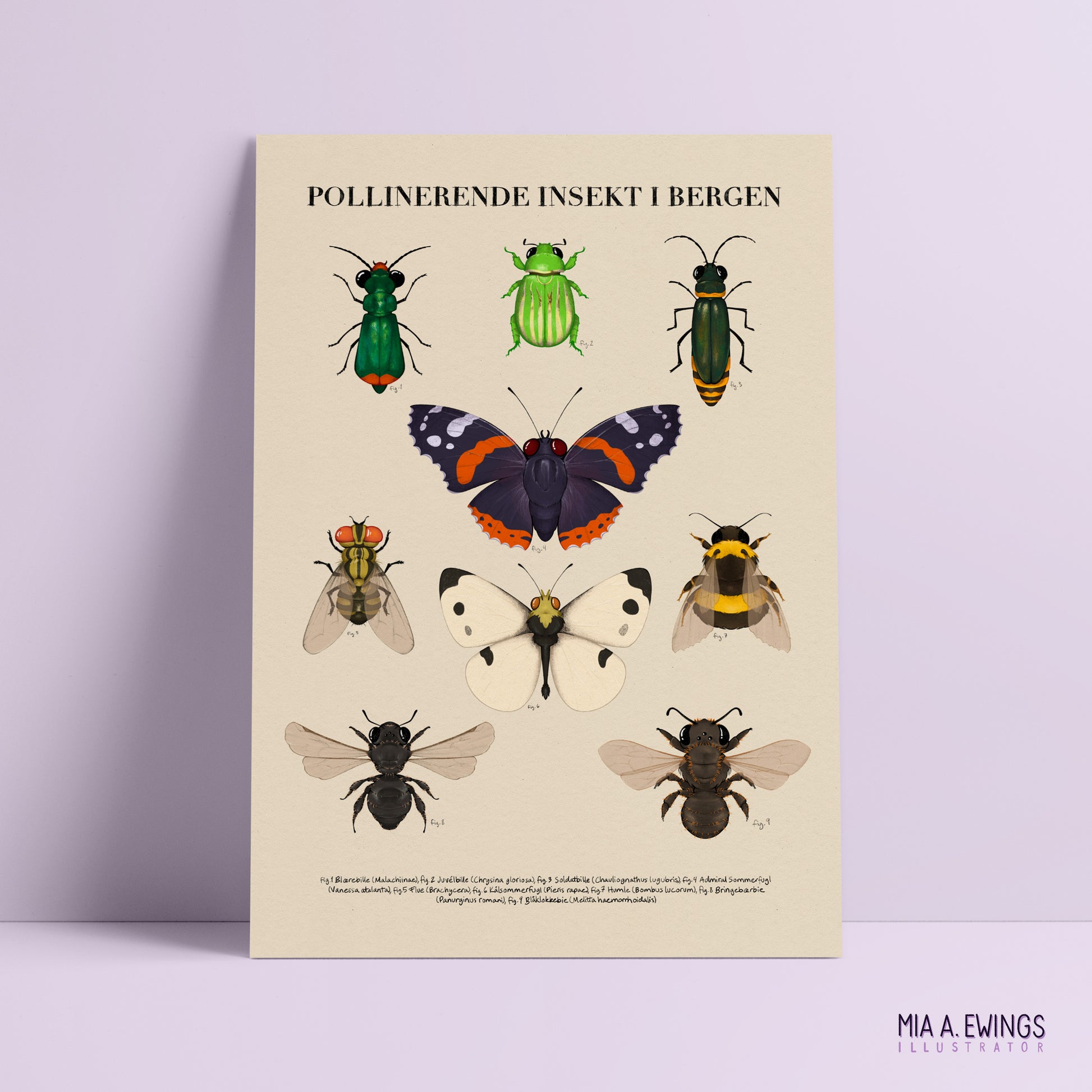 Pollinating Insects in Bergen — Print