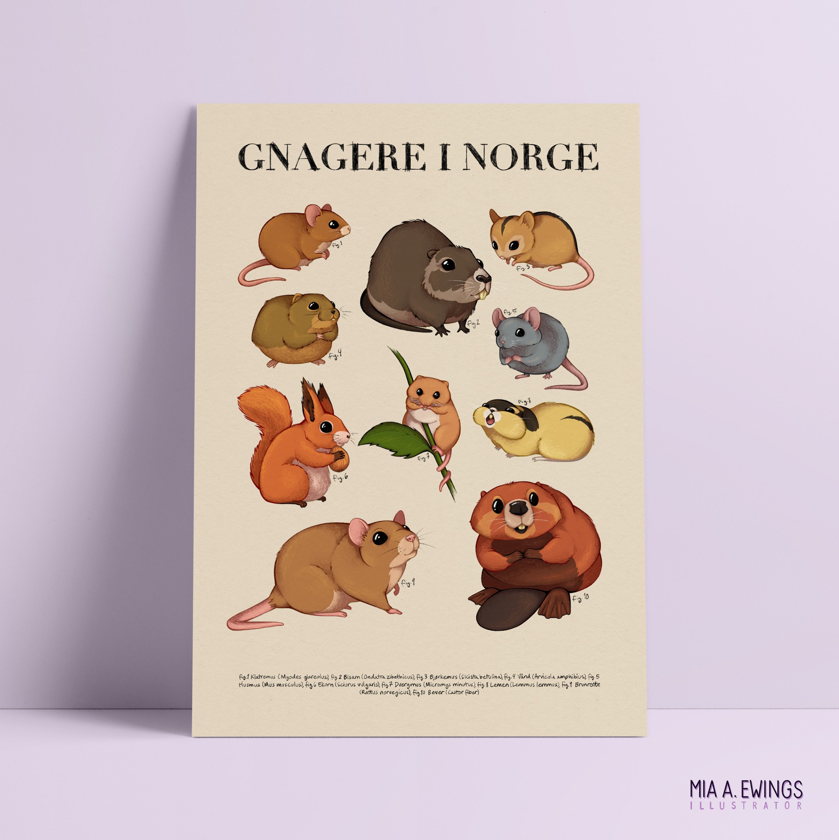 Rodents in Norway — Print