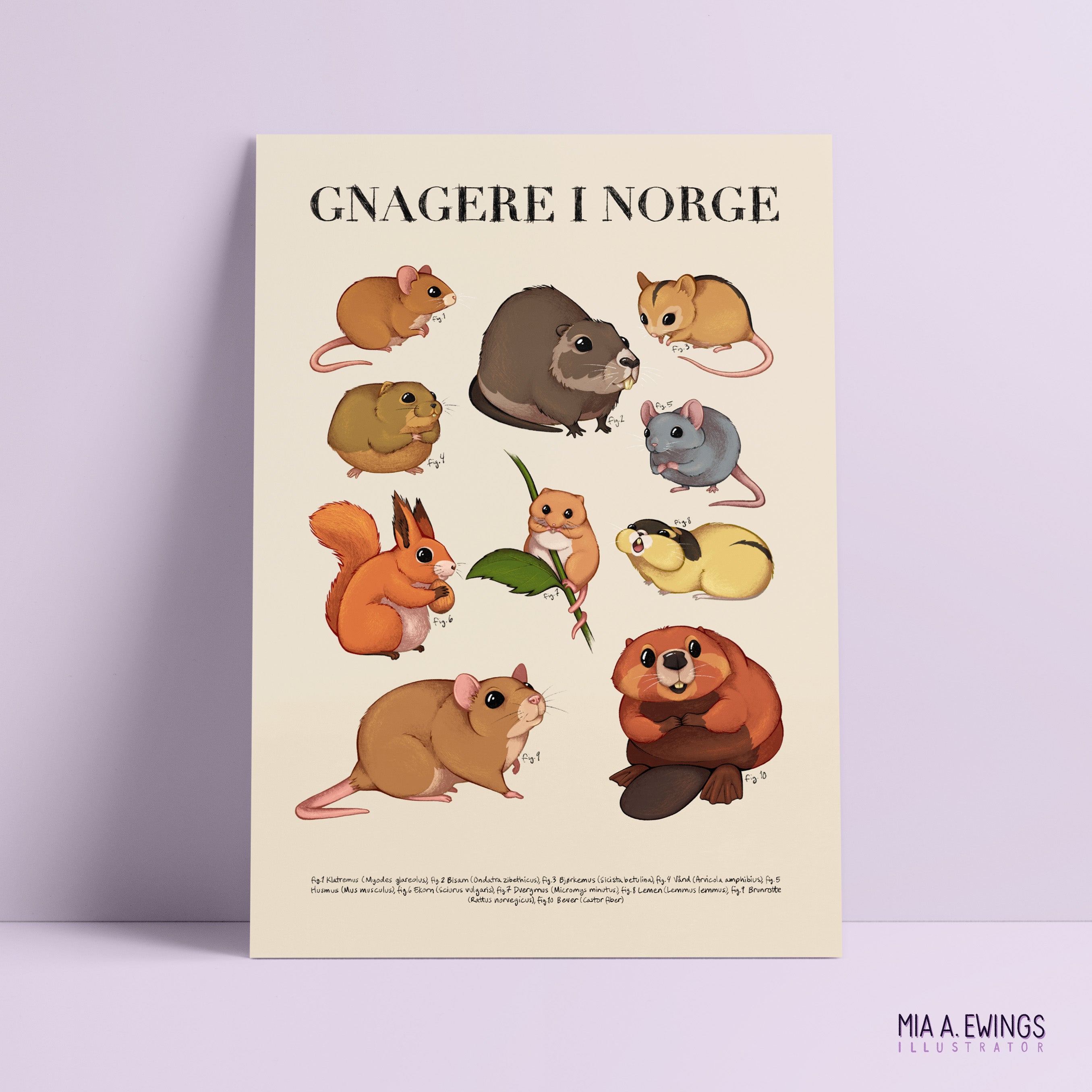 Rodents in Norway — Print