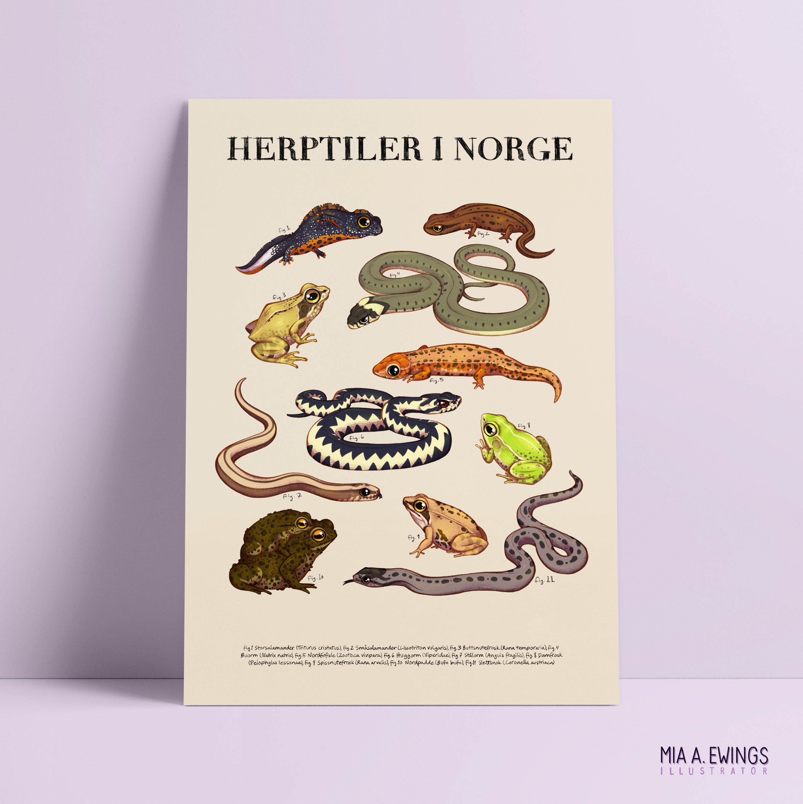 Herptiles in Norway — print