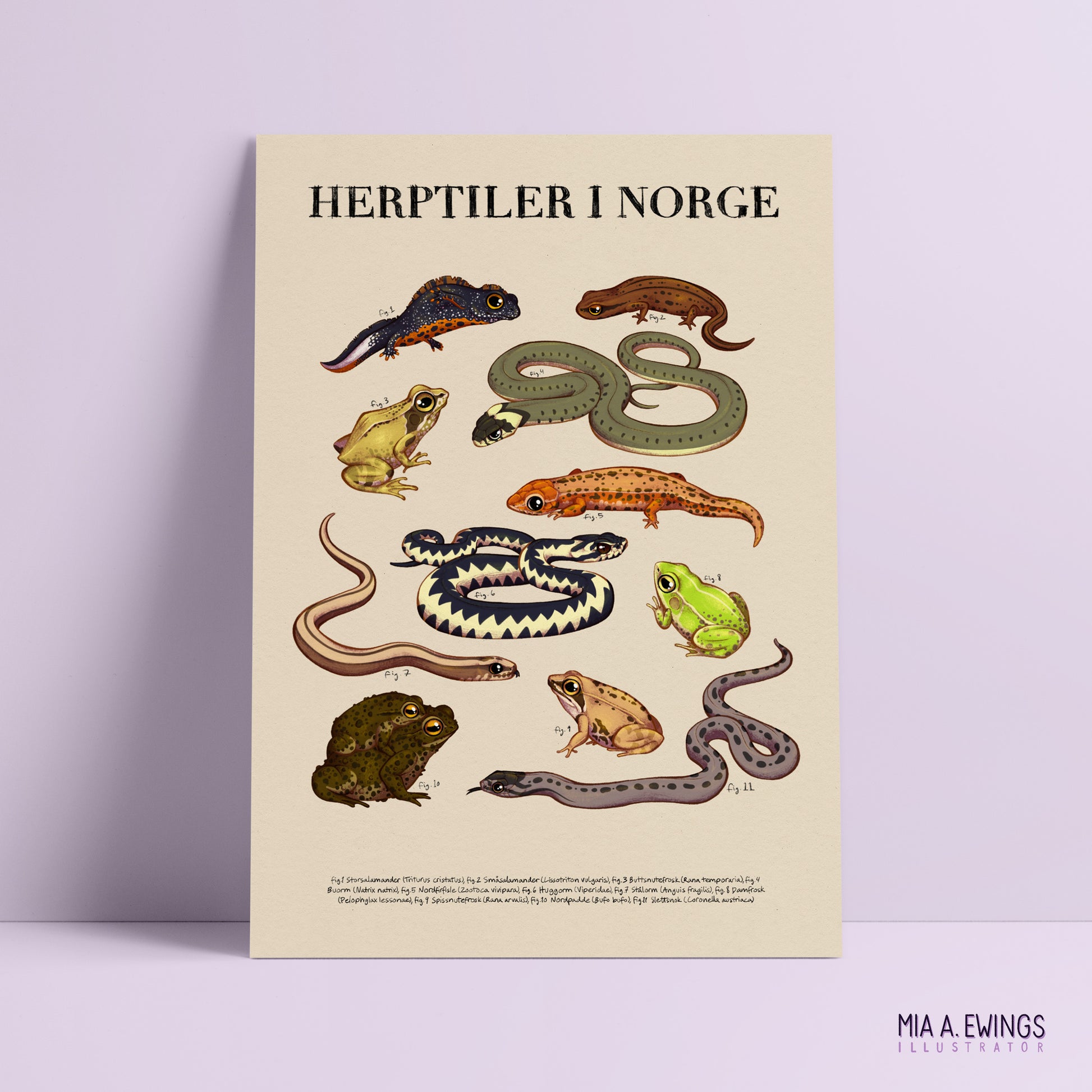 Herptiles in Norway — print