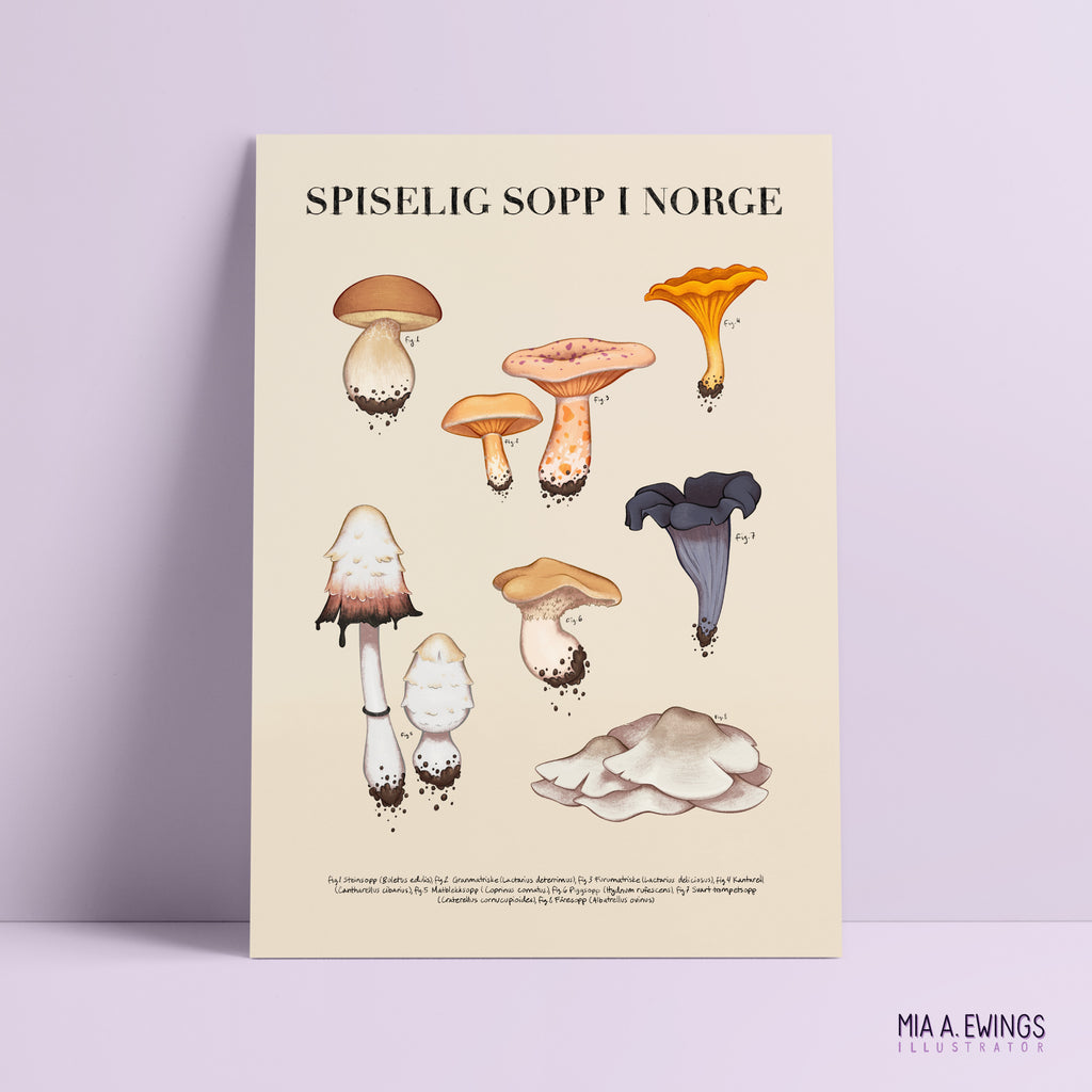 Edible Mushrooms in Norway — print