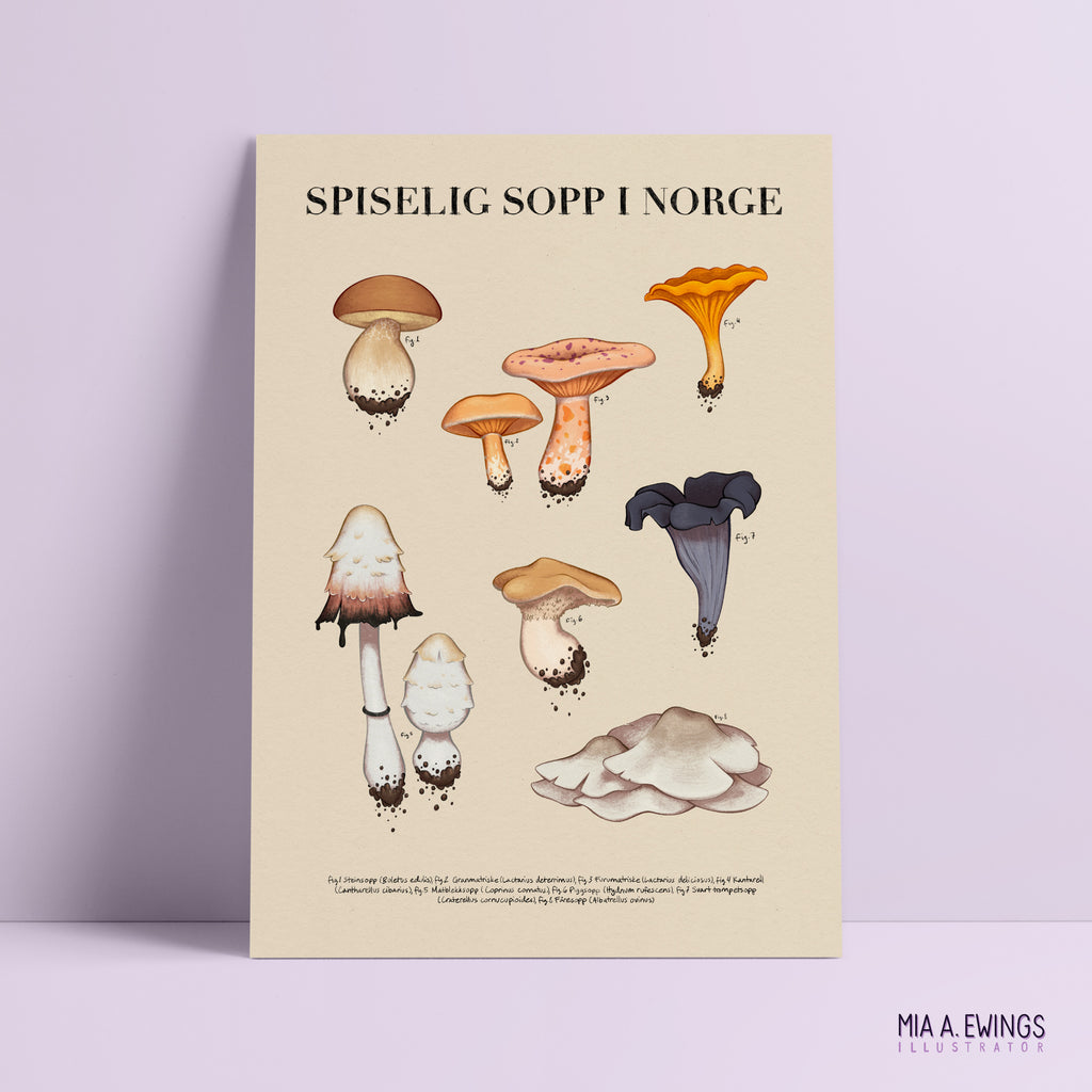 Edible Mushrooms in Norway — print