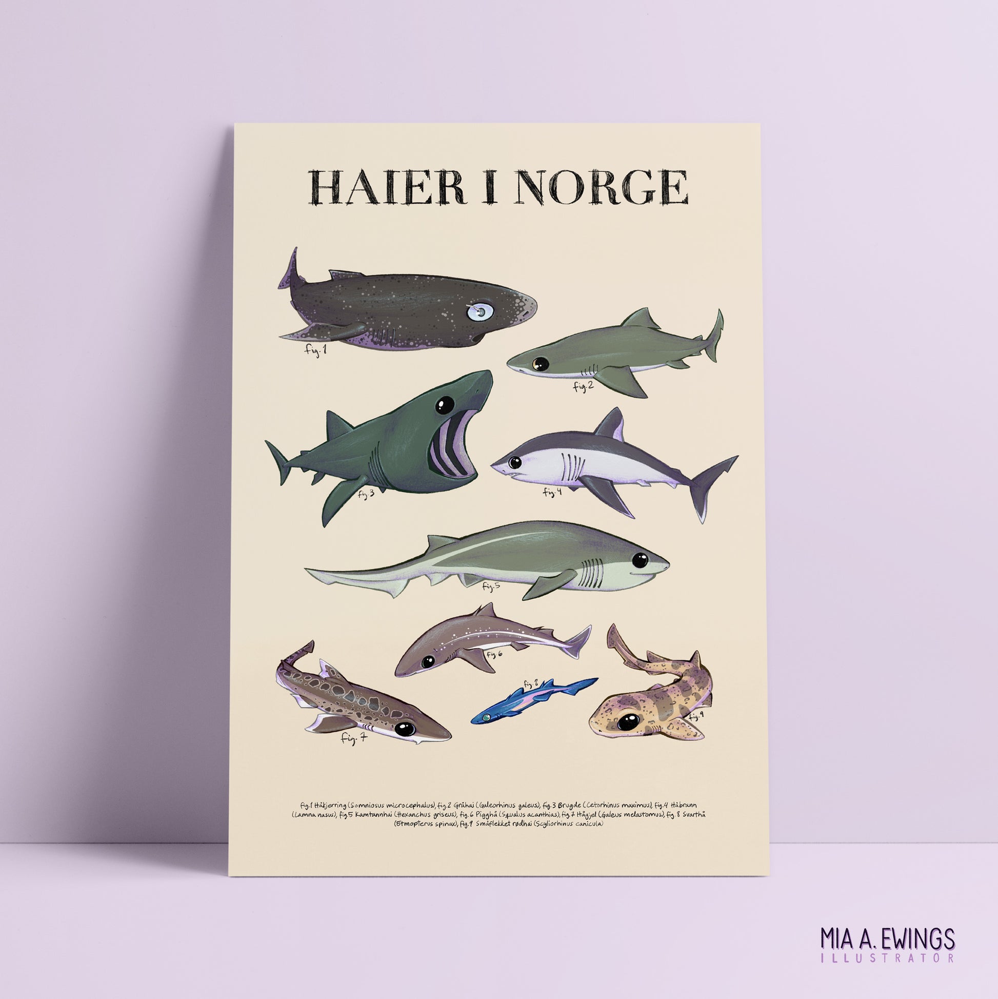 Sharks in Norway — print