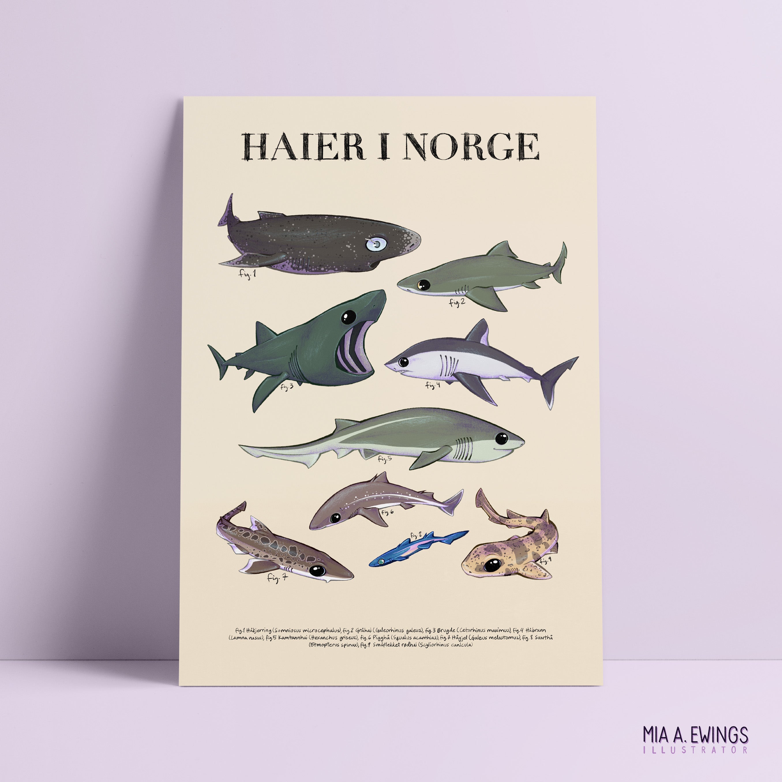 Sharks in Norway — print