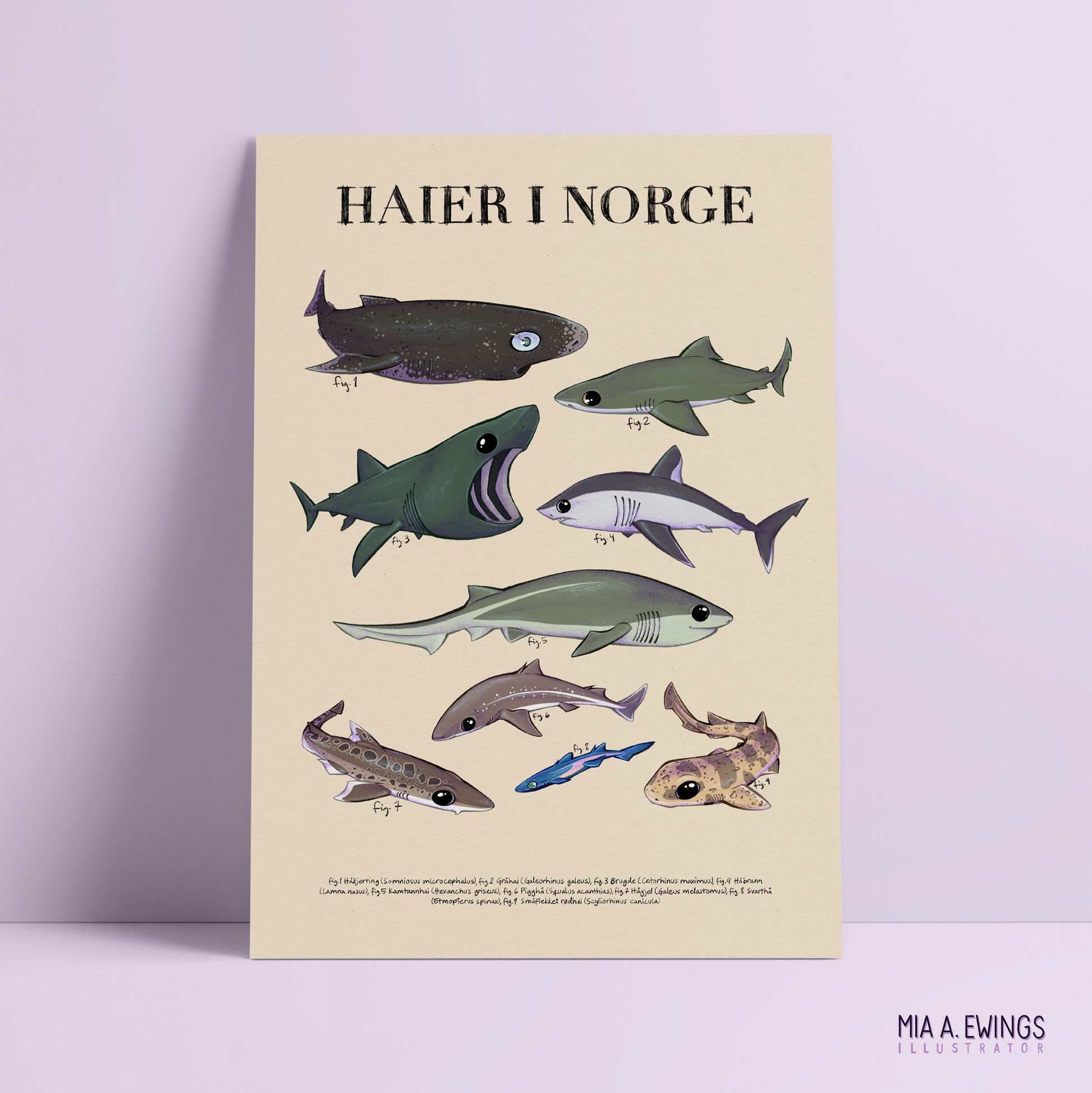 Sharks in Norway — print