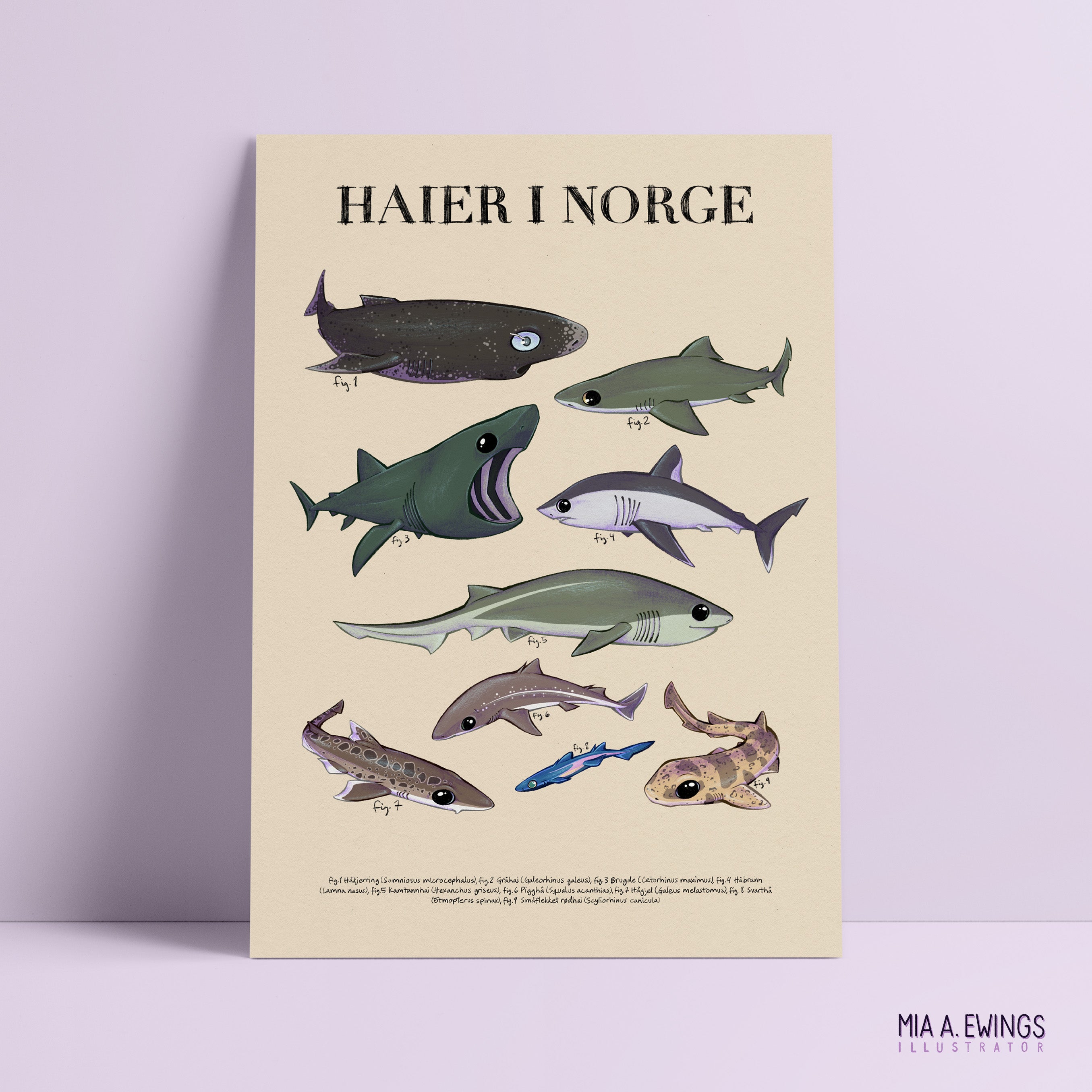 Sharks in Norway — print